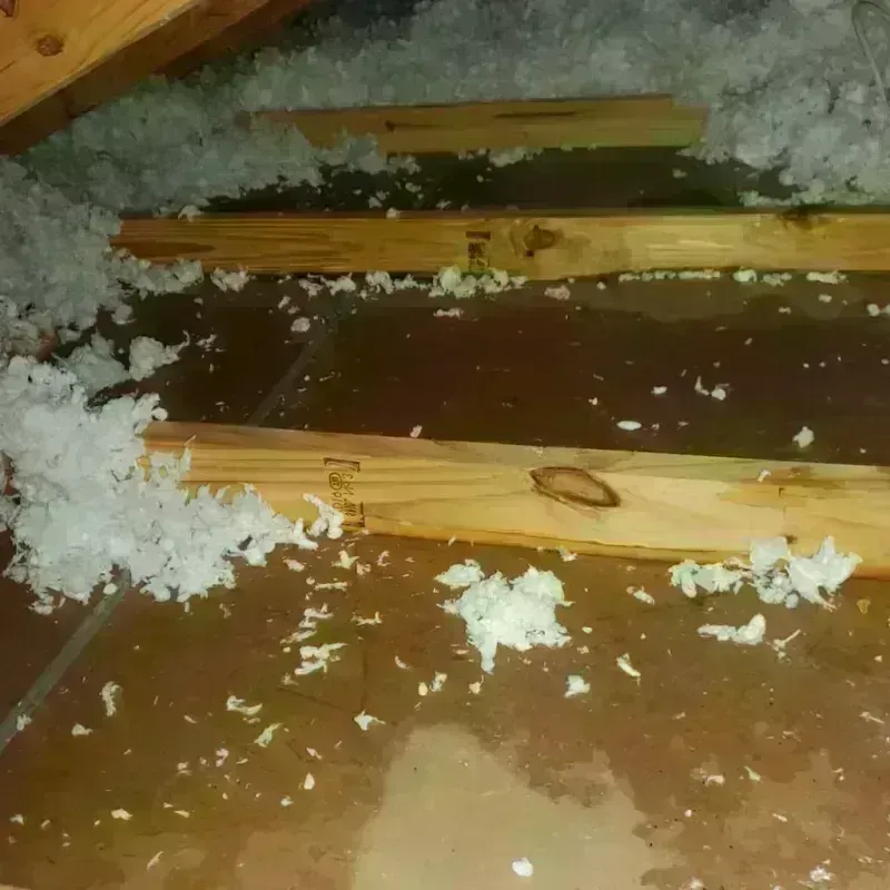 Attic Water Damage in Saranac Lake, NY